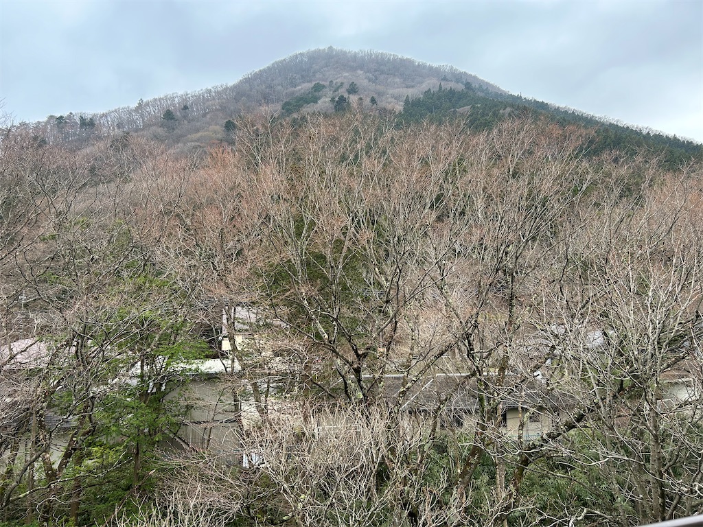 f:id:HAY0930:20250415065925j:image