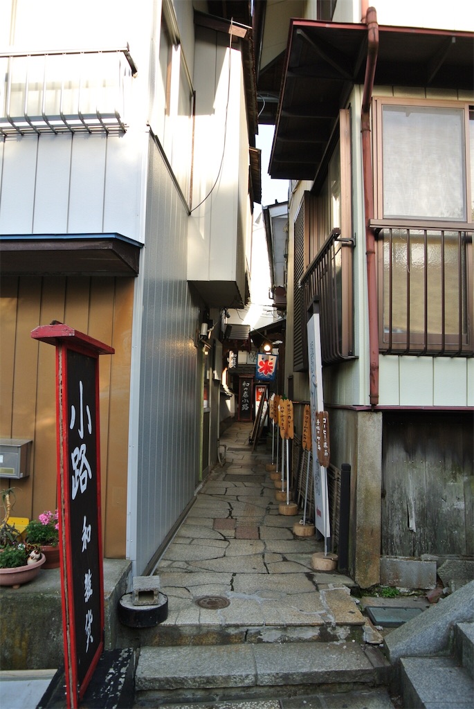 f:id:HAYAMINE:20190708013513j:image