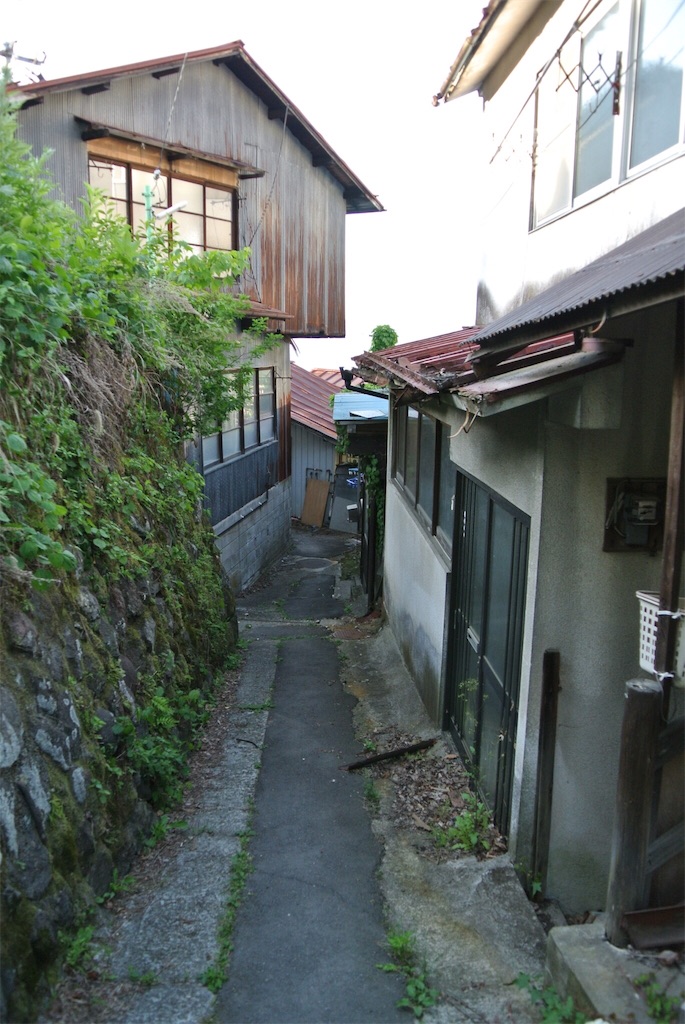 f:id:HAYAMINE:20190708050205j:image