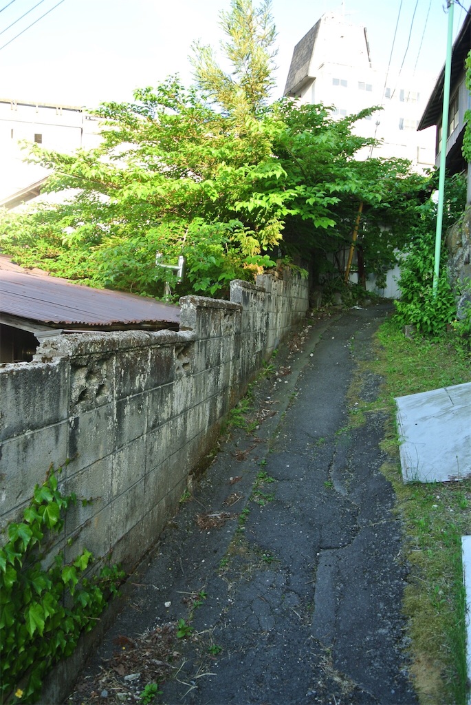f:id:HAYAMINE:20190708053045j:image