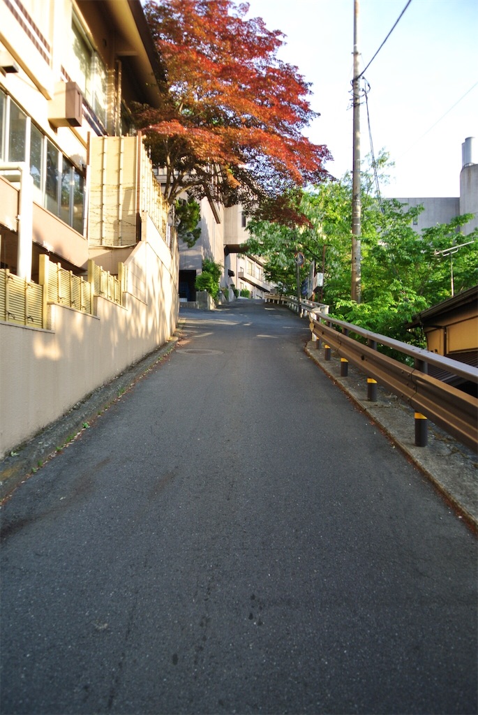 f:id:HAYAMINE:20190709055845j:image