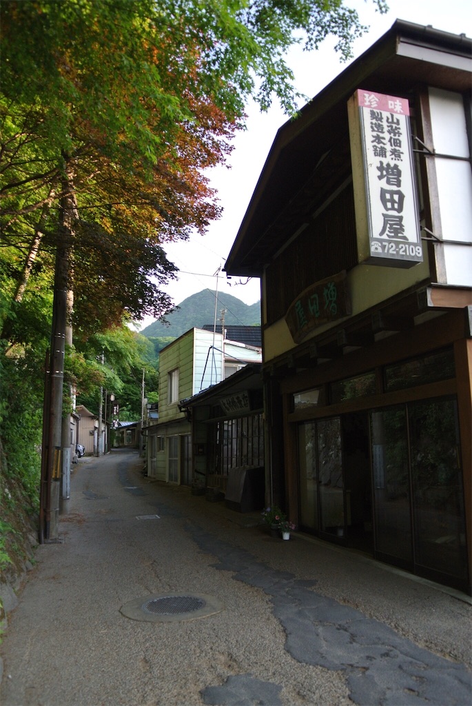 f:id:HAYAMINE:20190710010746j:image