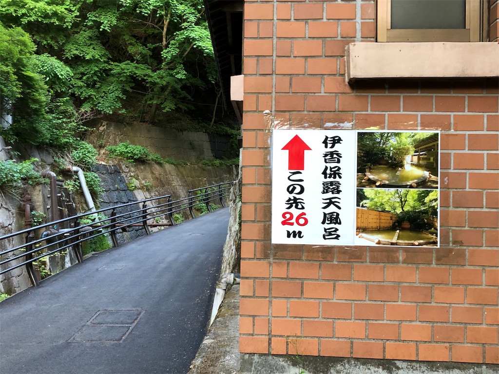 f:id:HAYAMINE:20190710070707j:image