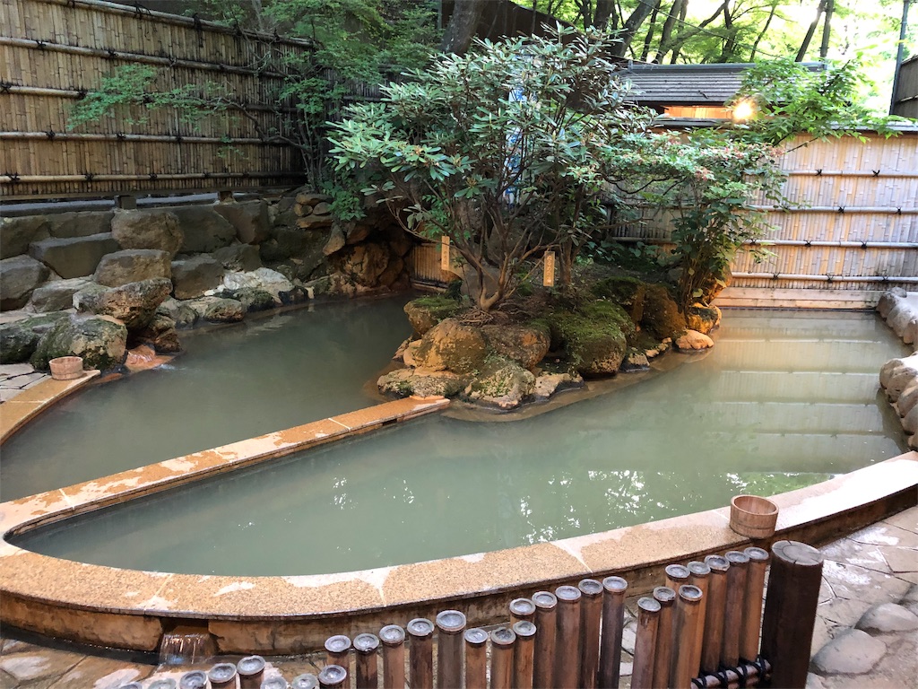 f:id:HAYAMINE:20190714001742j:image
