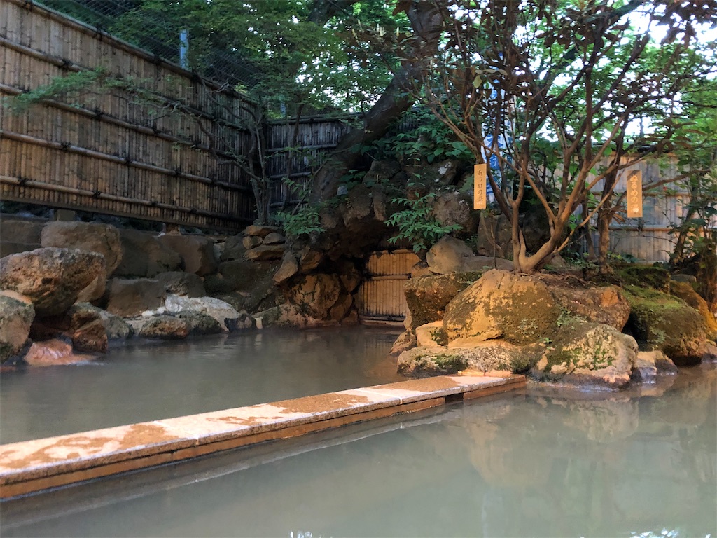 f:id:HAYAMINE:20190714001756j:image