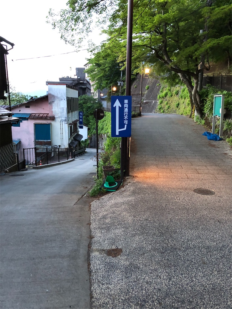 f:id:HAYAMINE:20190714013735j:image