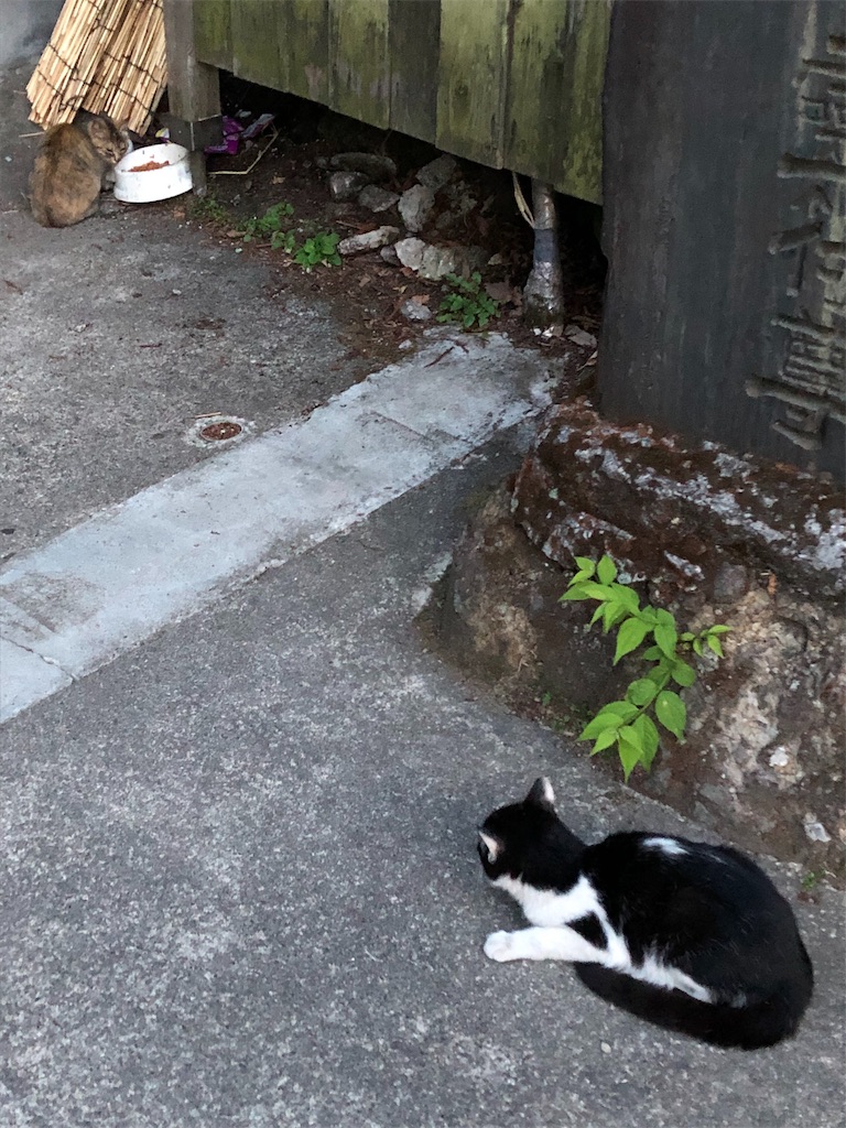 f:id:HAYAMINE:20190714013747j:image