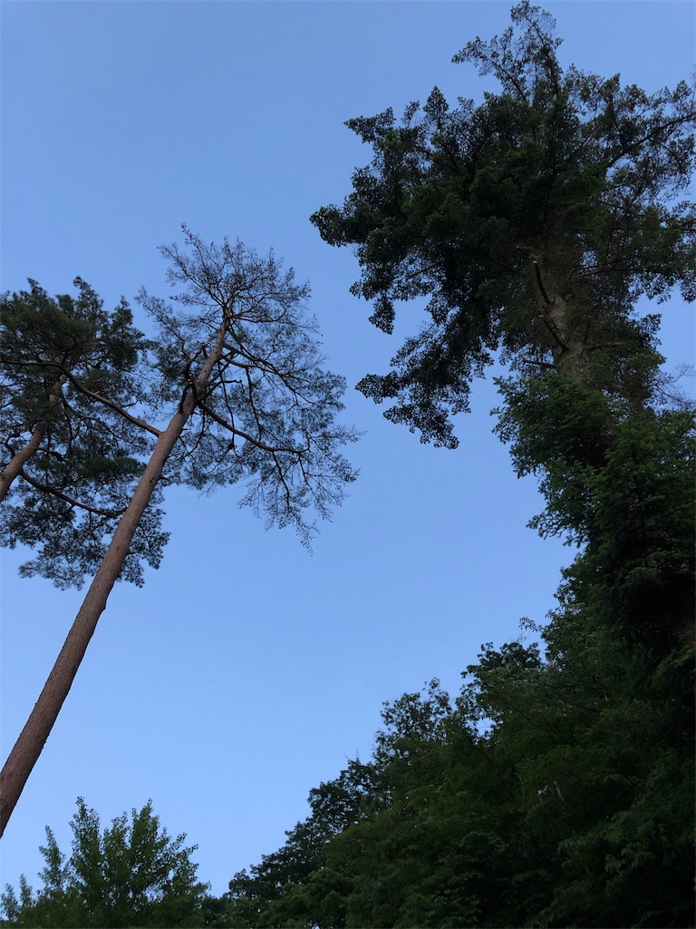 f:id:HAYAMINE:20190714053802j:image