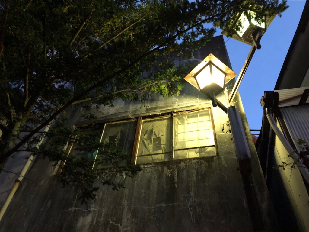 f:id:HAYAMINE:20190714060855j:image