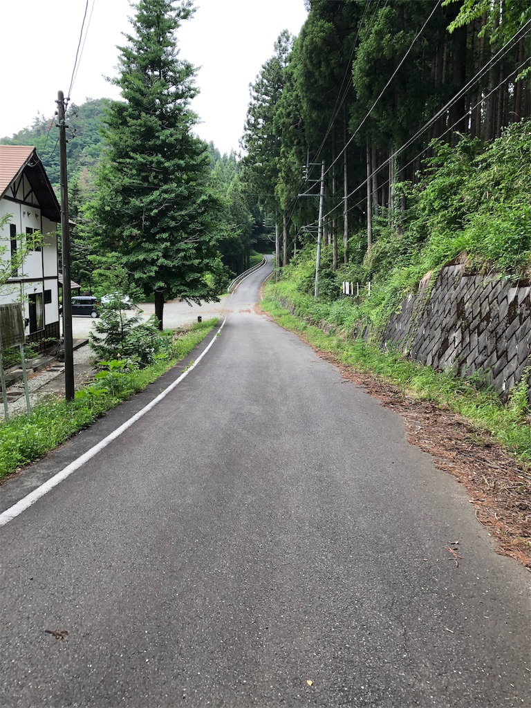 f:id:HAYAMINE:20190731053547j:image