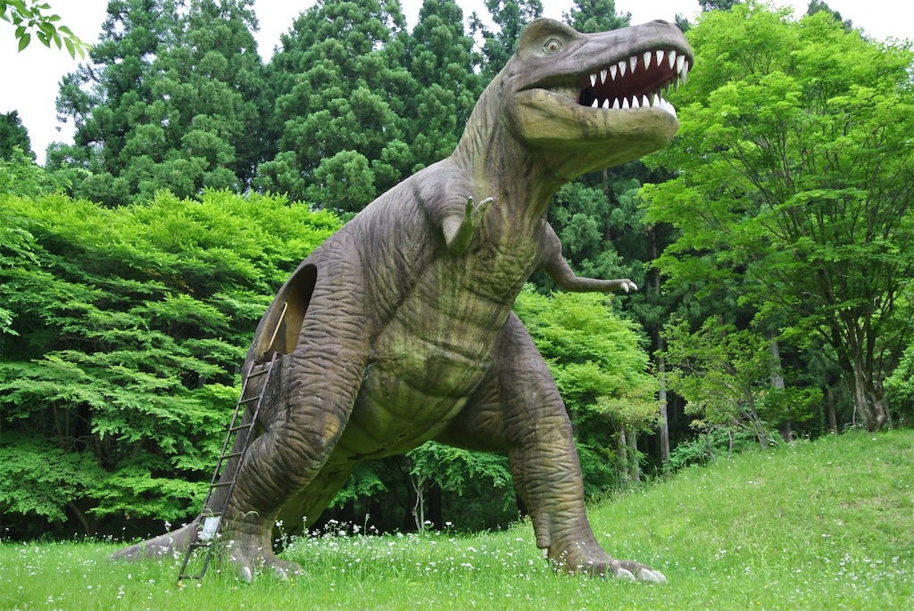 f:id:HAYAMINE:20190731092418j:image