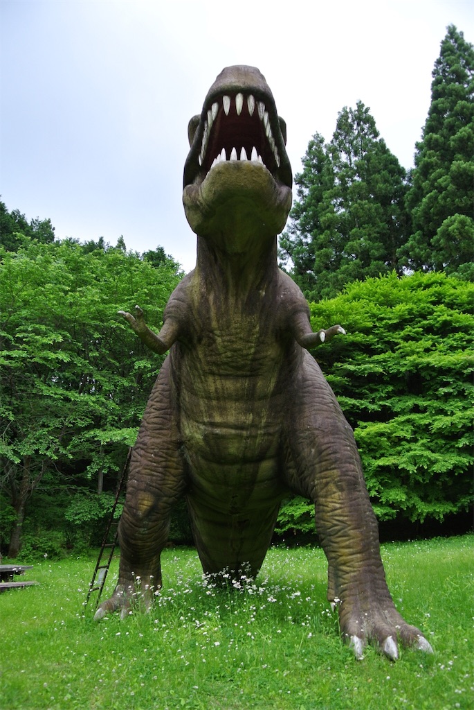 f:id:HAYAMINE:20190731092547j:image
