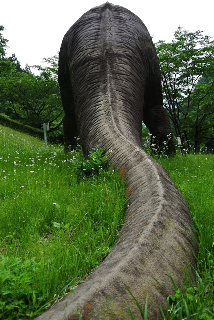 f:id:HAYAMINE:20190801004721j:image