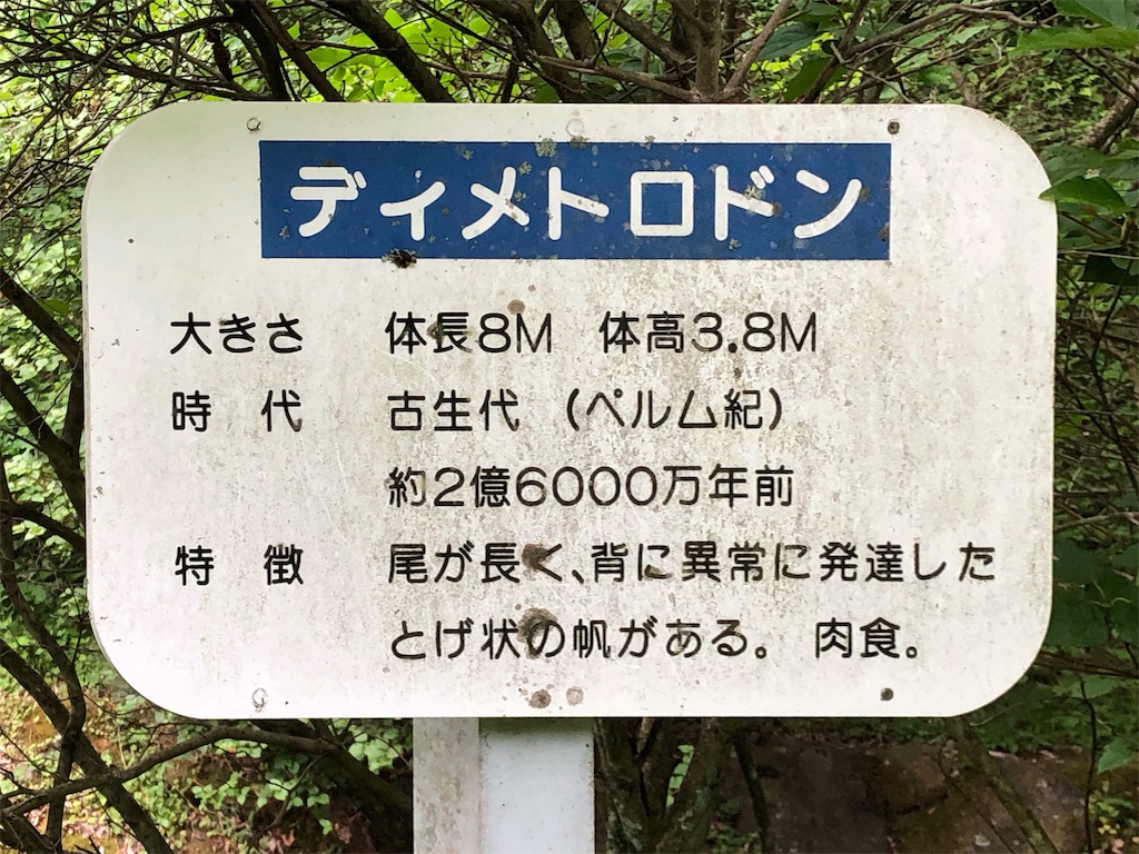 f:id:HAYAMINE:20190801075449j:image
