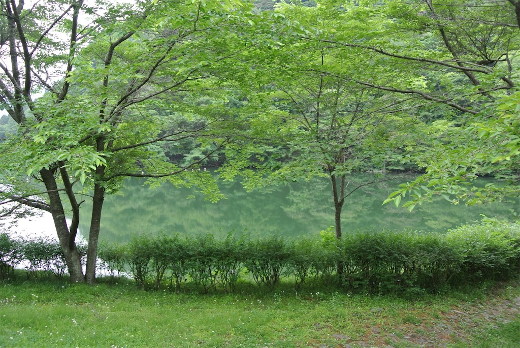 f:id:HAYAMINE:20190804230954j:image