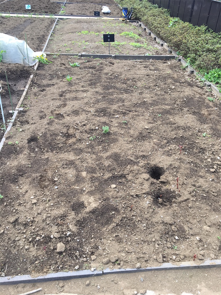 f:id:HB5060YasaiBu:20170514172018j:image