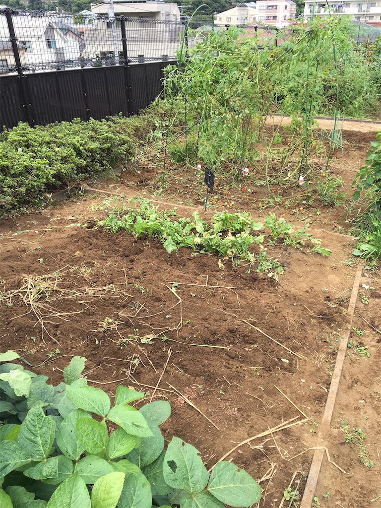 f:id:HB5060YasaiBu:20170827110838j:image