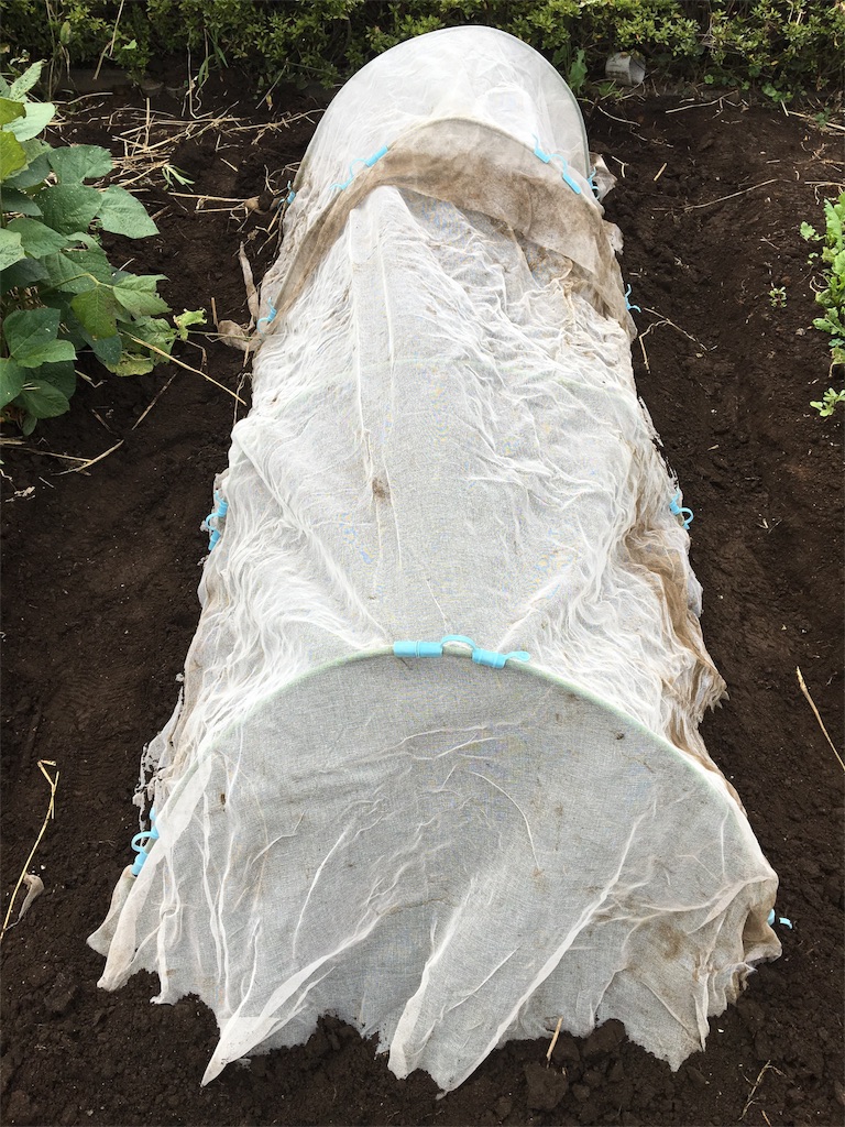 f:id:HB5060YasaiBu:20170903180814j:image