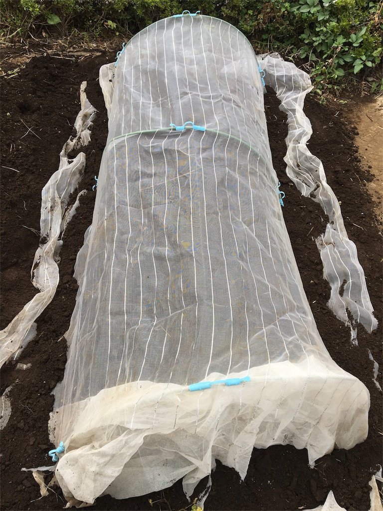 f:id:HB5060YasaiBu:20170903180816j:image