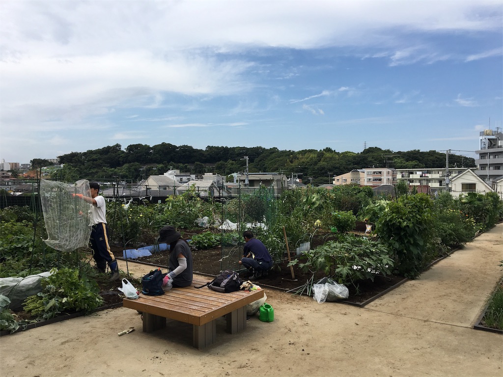 f:id:HB5060YasaiBu:20170903180818j:image