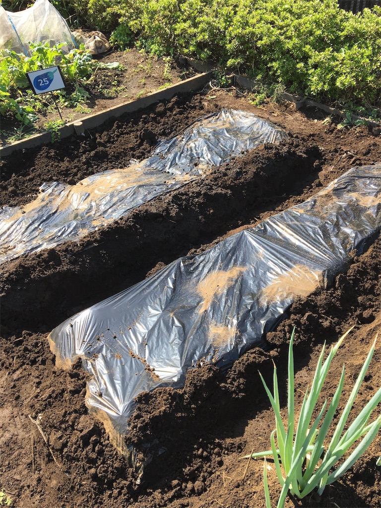 f:id:HB5060YasaiBu:20171001131319j:image