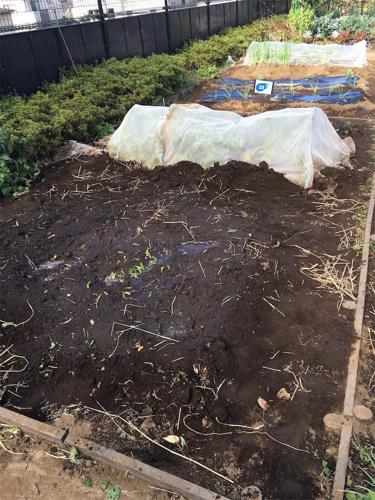 f:id:HB5060YasaiBu:20171112185749j:image