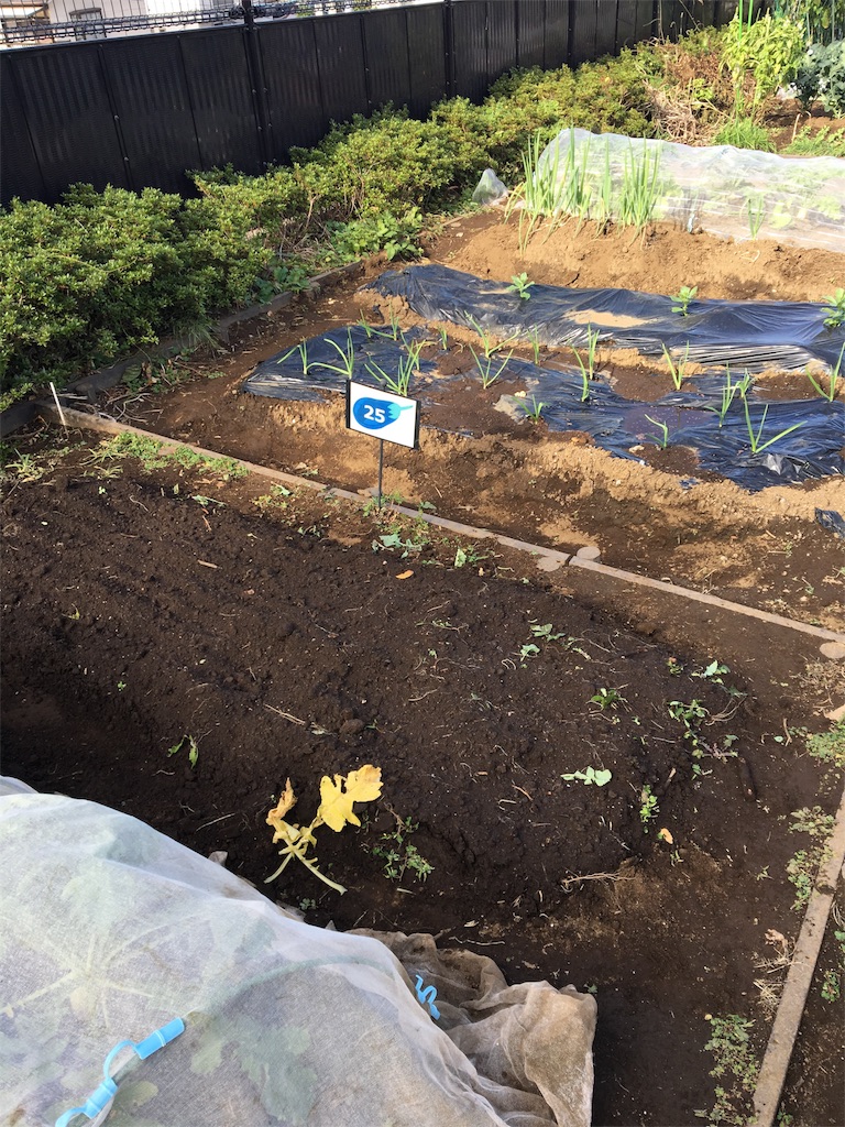 f:id:HB5060YasaiBu:20171112185754j:image