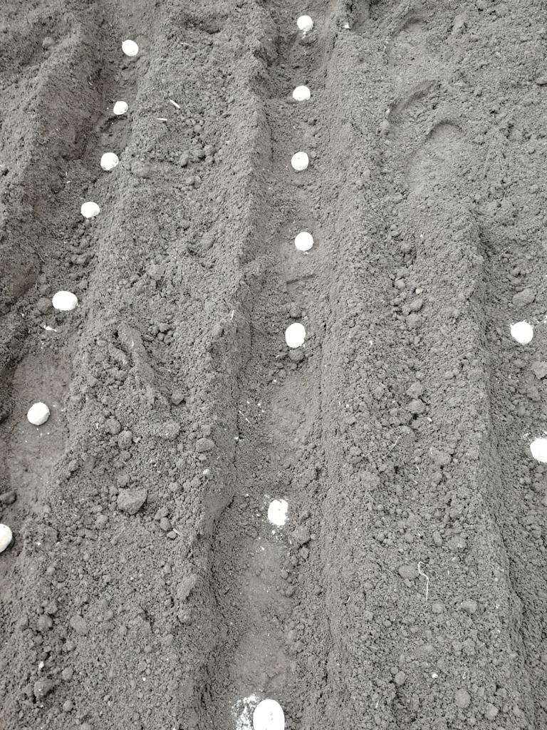 f:id:HB5060YasaiBu:20180311105018j:plain