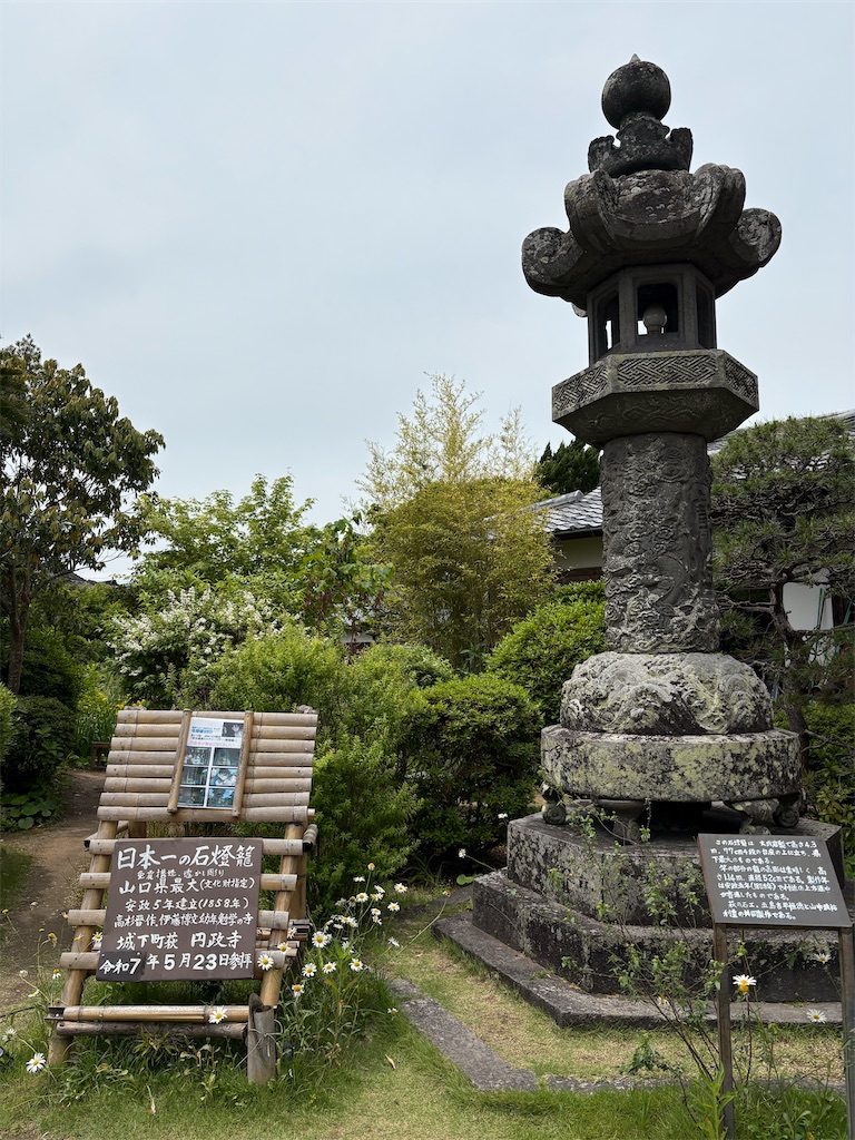 f:id:HCHISAKI:20250608140533j:image
