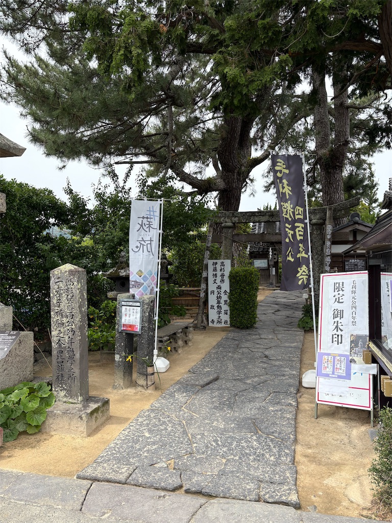 f:id:HCHISAKI:20250608140615j:image