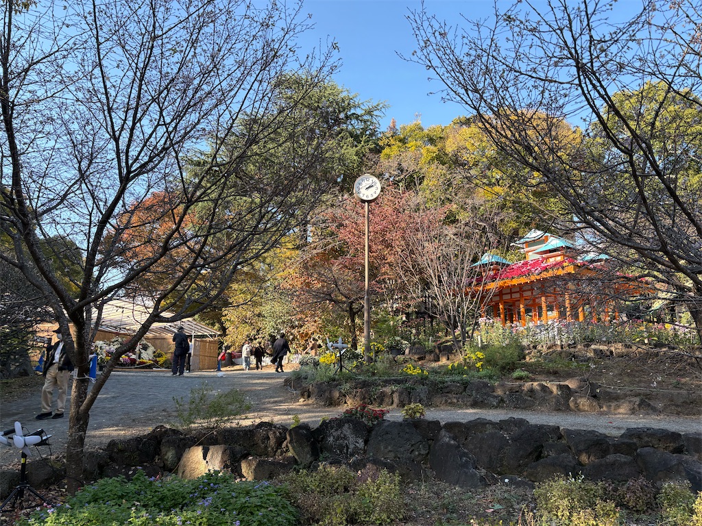 f:id:HCHISAKI:20251116113617j:image