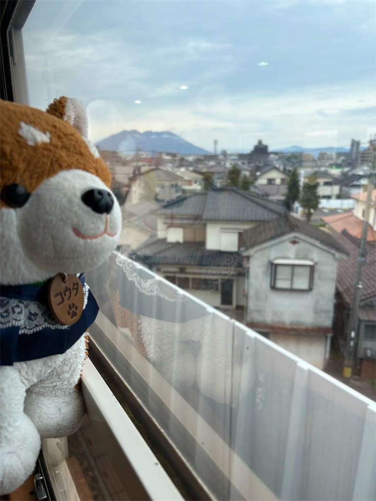 f:id:HCHISAKI:20260606165538j:image