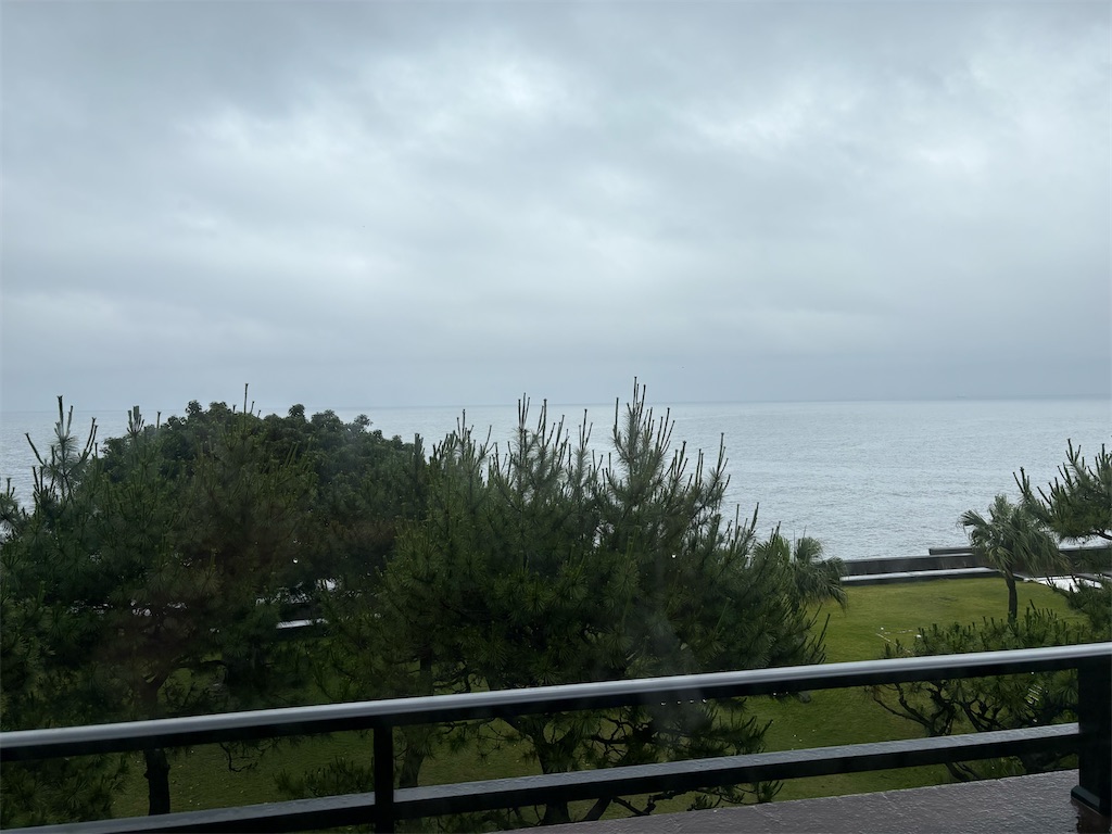 f:id:HCHISAKI:20260608182851j:image
