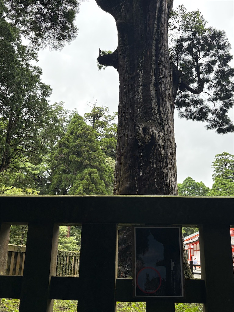 f:id:HCHISAKI:20260621165604j:image