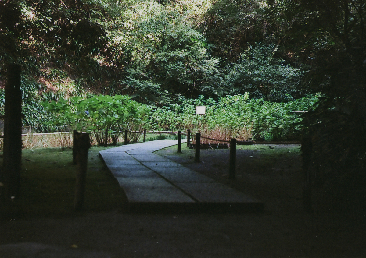 f:id:HCl_Standard:20201109224331j:plain f:id:HCl_Standard:20201109224331j:plain