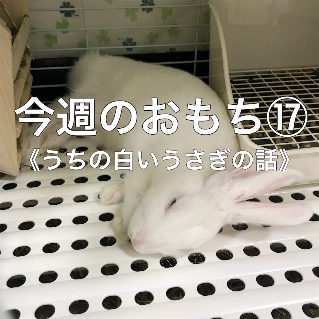 f:id:HELon:20200920231242j:image f:id:HELon:20200920231242j:image