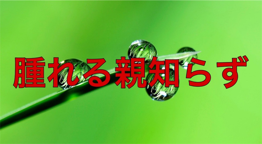 f:id:HELon:20200926235829j:image f:id:HELon:20200926235829j:image