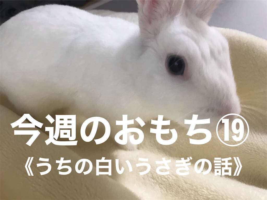 f:id:HELon:20201005204743j:image f:id:HELon:20201005204743j:image