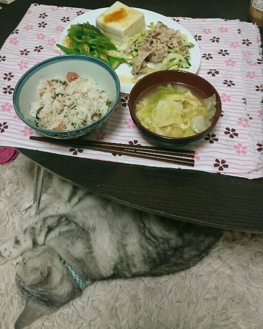 f:id:HEMMUSHI:20170703001843j:image f:id:HEMMUSHI:20170703001843j:image