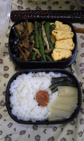 f:id:HERSHEY:20100613165249j:image