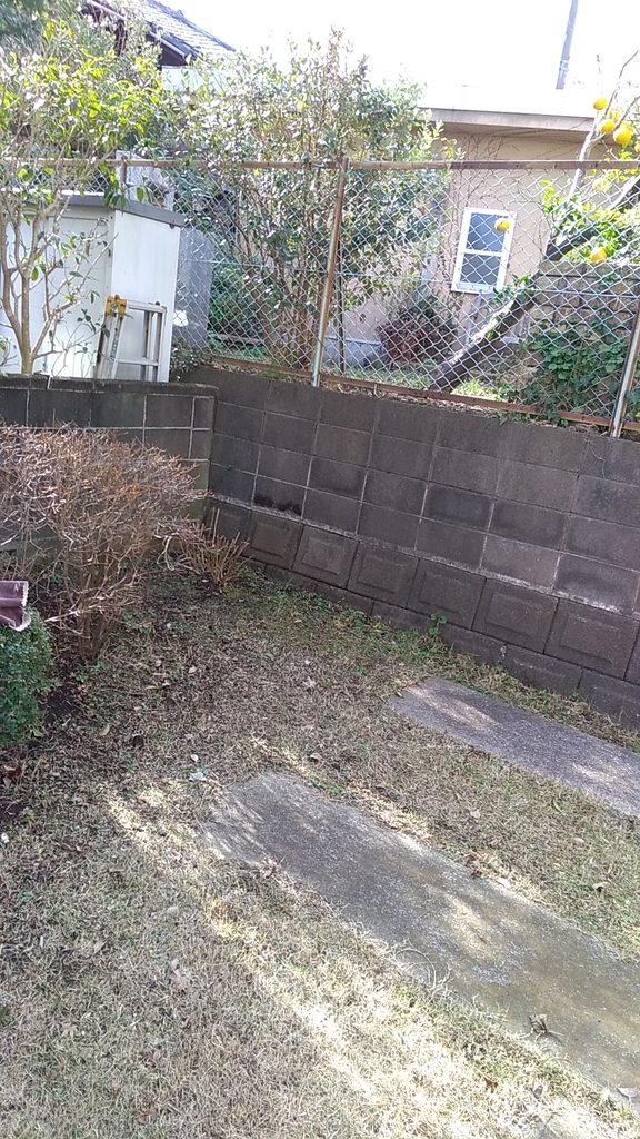 花壇作り 今のジャンルはバラ庭
