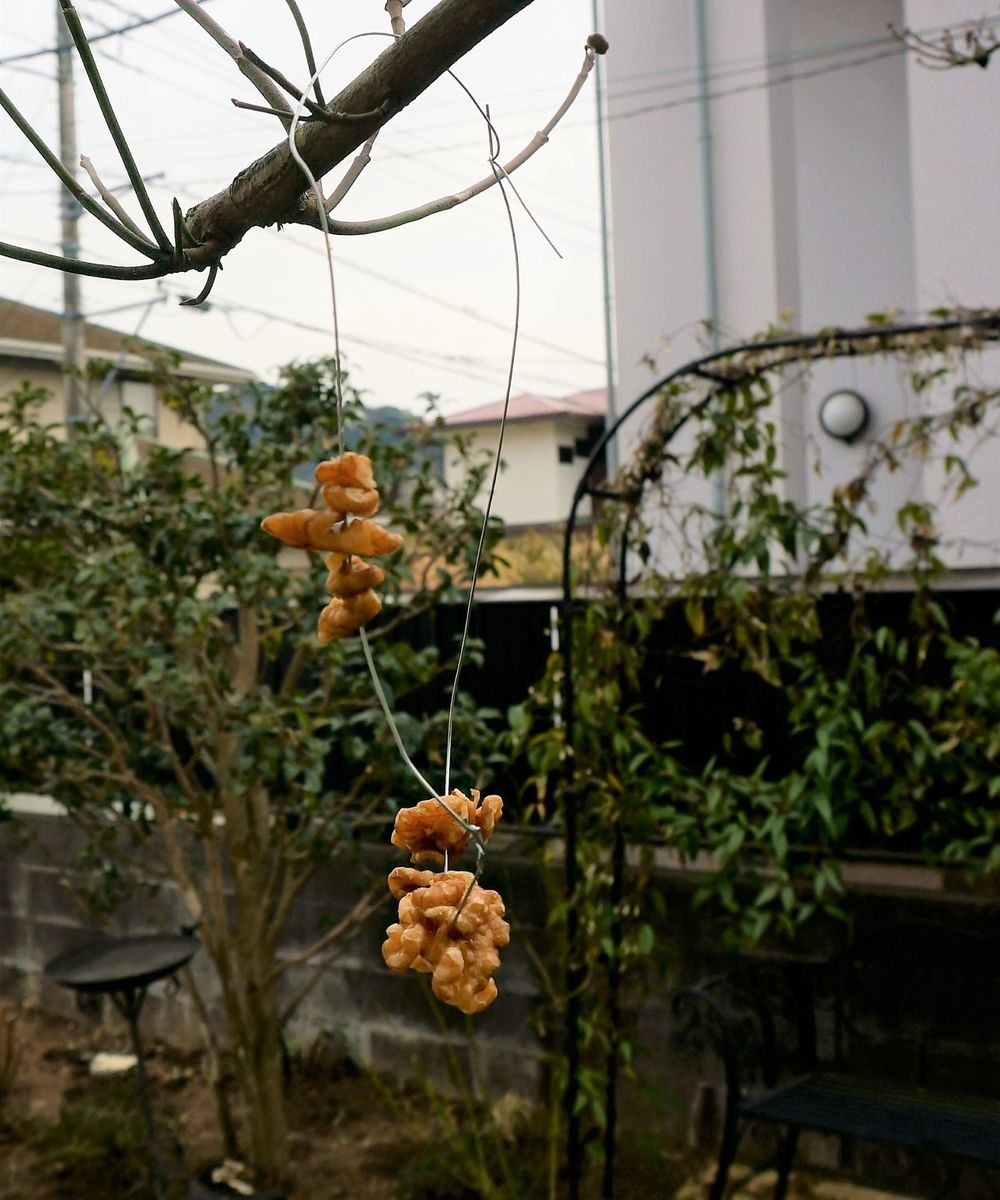 f:id:HHnavyhat:20210212140415j:plain
