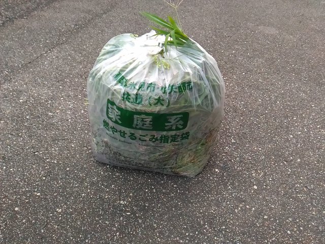 草むしり