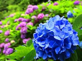 f:id:HIARSALoNTHENAKED:20170627172009j:plain f:id:HIARSALoNTHENAKED:20170627172009j:plain