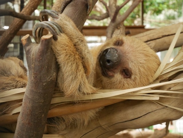 f:id:HIBAlog:20220801115735j:image