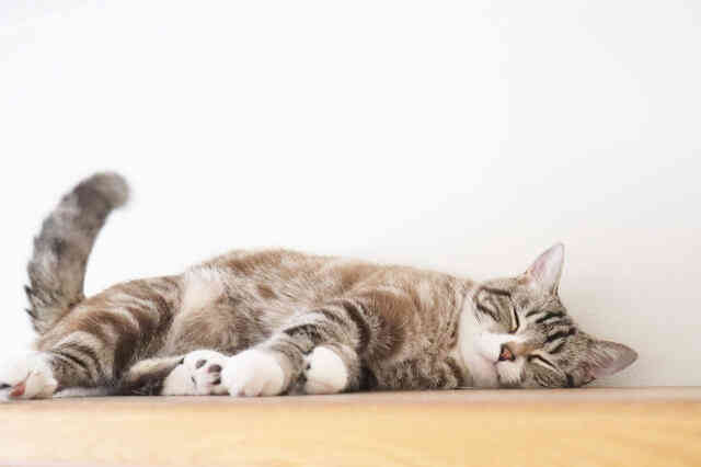 「働きたくない」は心が出しているSOS