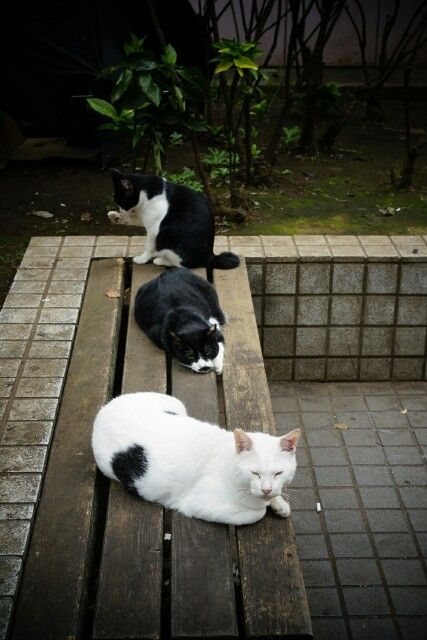 f:id:HIDE_Verdad:20171002201736j:image