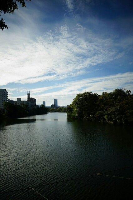 f:id:HIDE_Verdad:20171005235544j:image