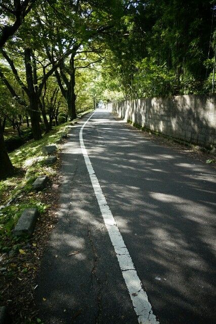 f:id:HIDE_Verdad:20171005235617j:image