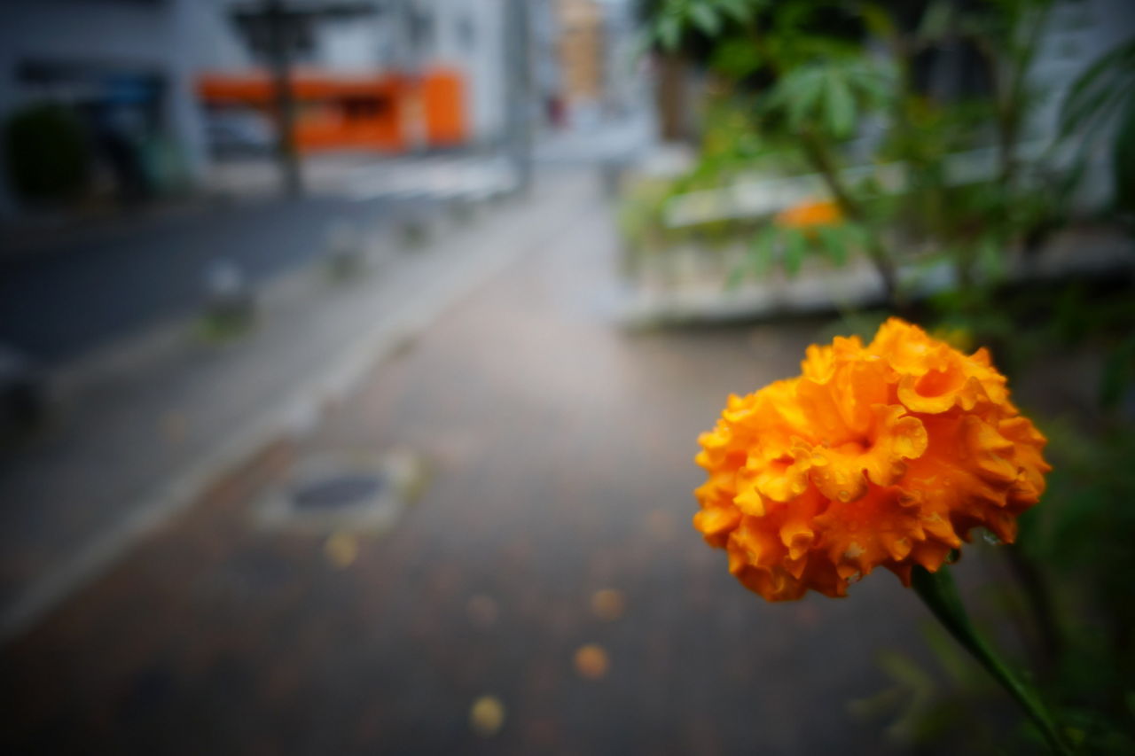 f:id:HIDE_Verdad:20171016233238j:plain